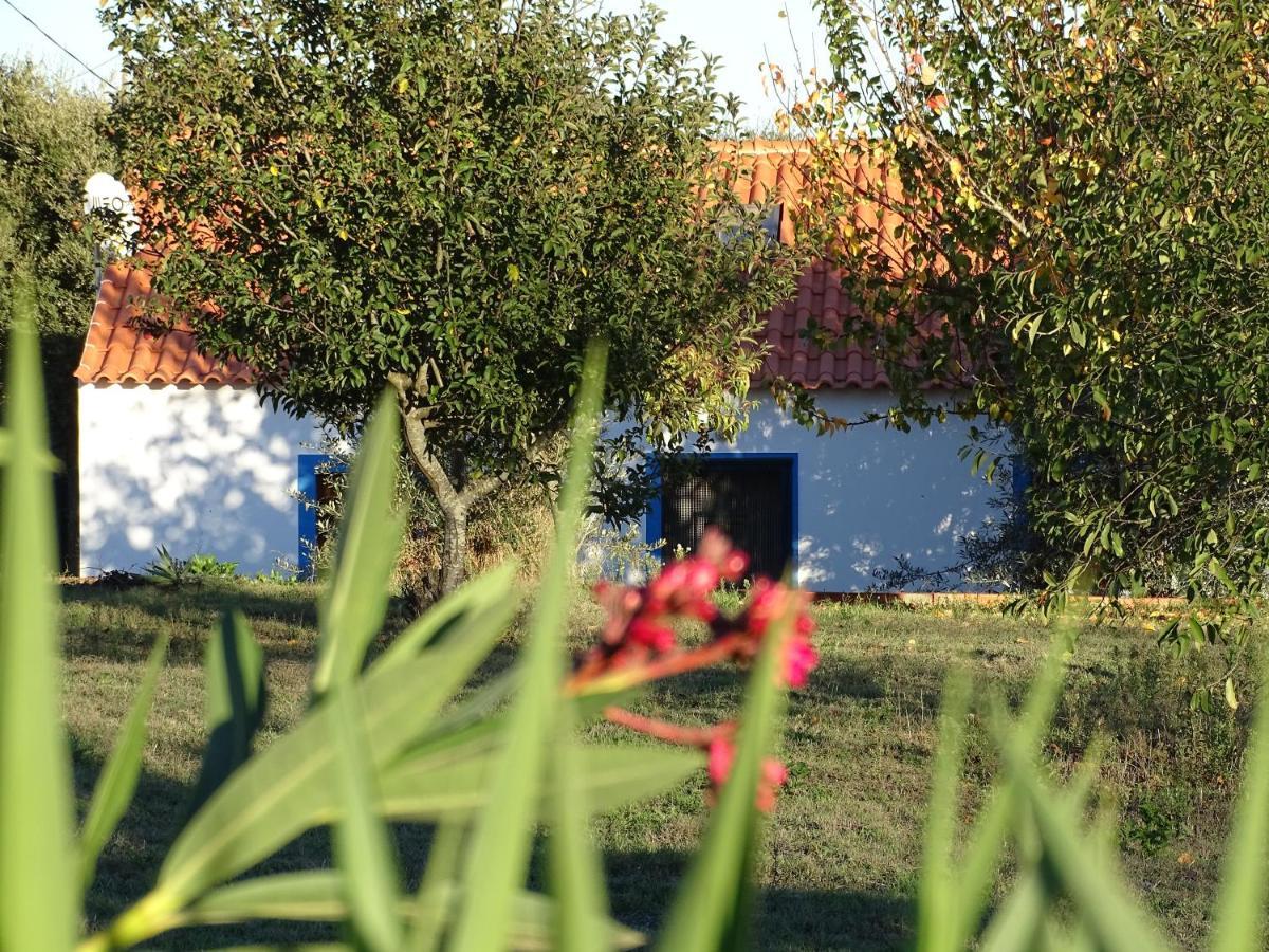 Cercal do Alentejo Quinta Das Teimosas By Stay In Alentejo מראה חיצוני תמונה