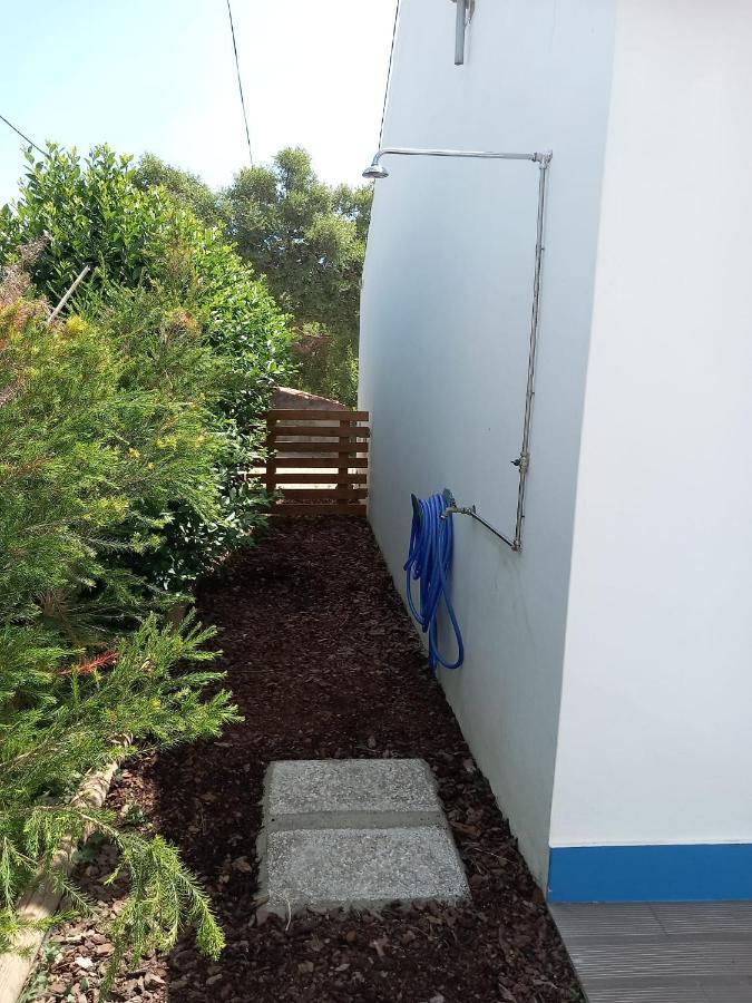 Cercal do Alentejo Quinta Das Teimosas By Stay In Alentejo מראה חיצוני תמונה